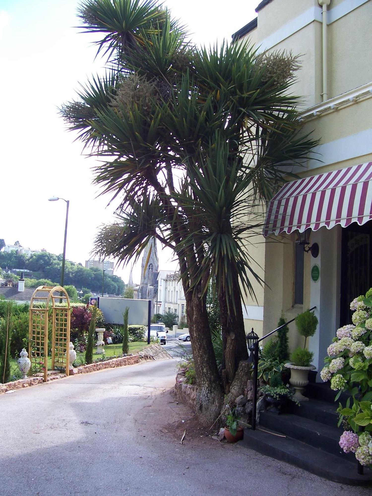 Bed & Breakfast The Somerville 5*