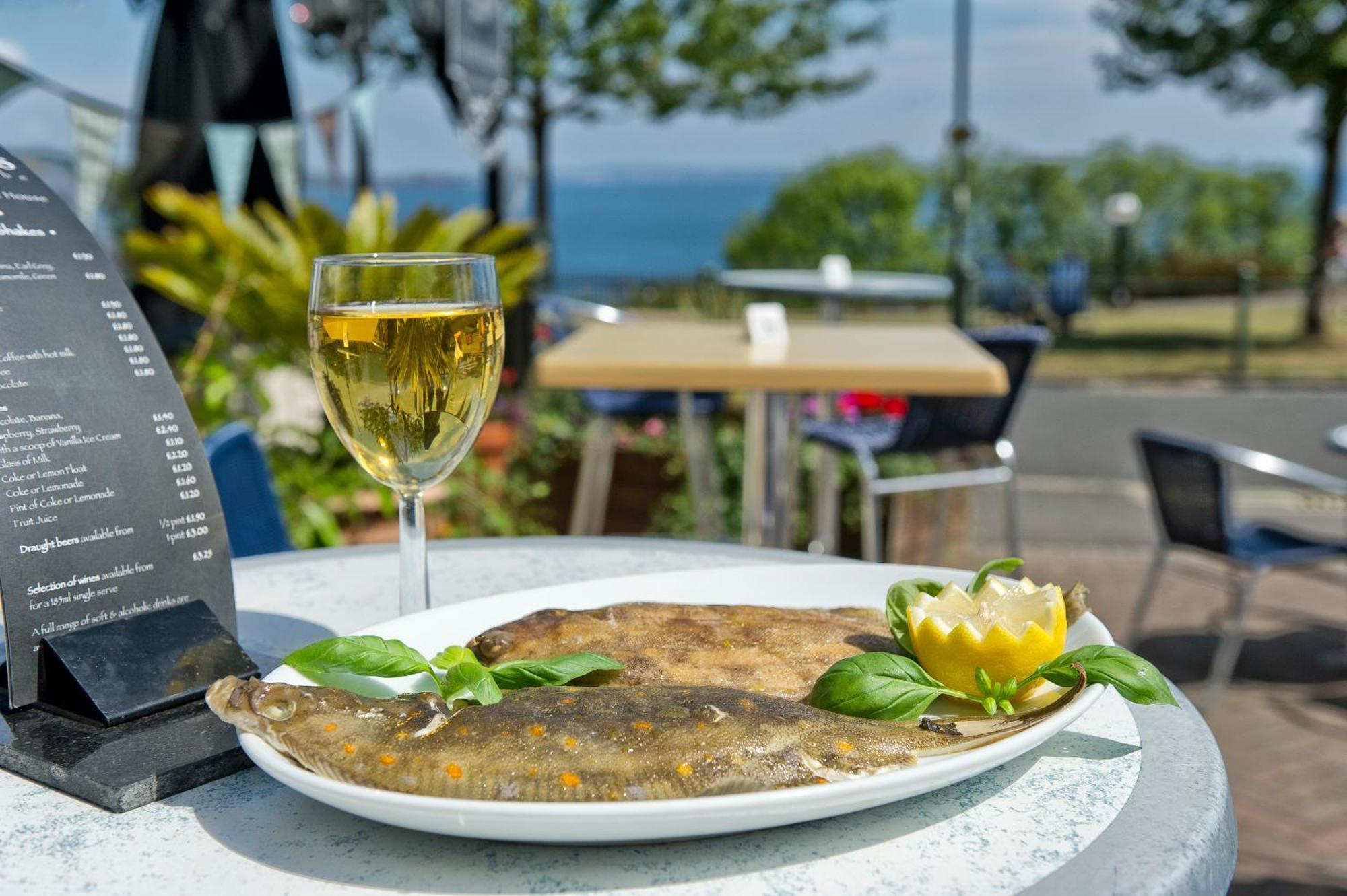 Bed & Breakfast The Downs, Babbacombe