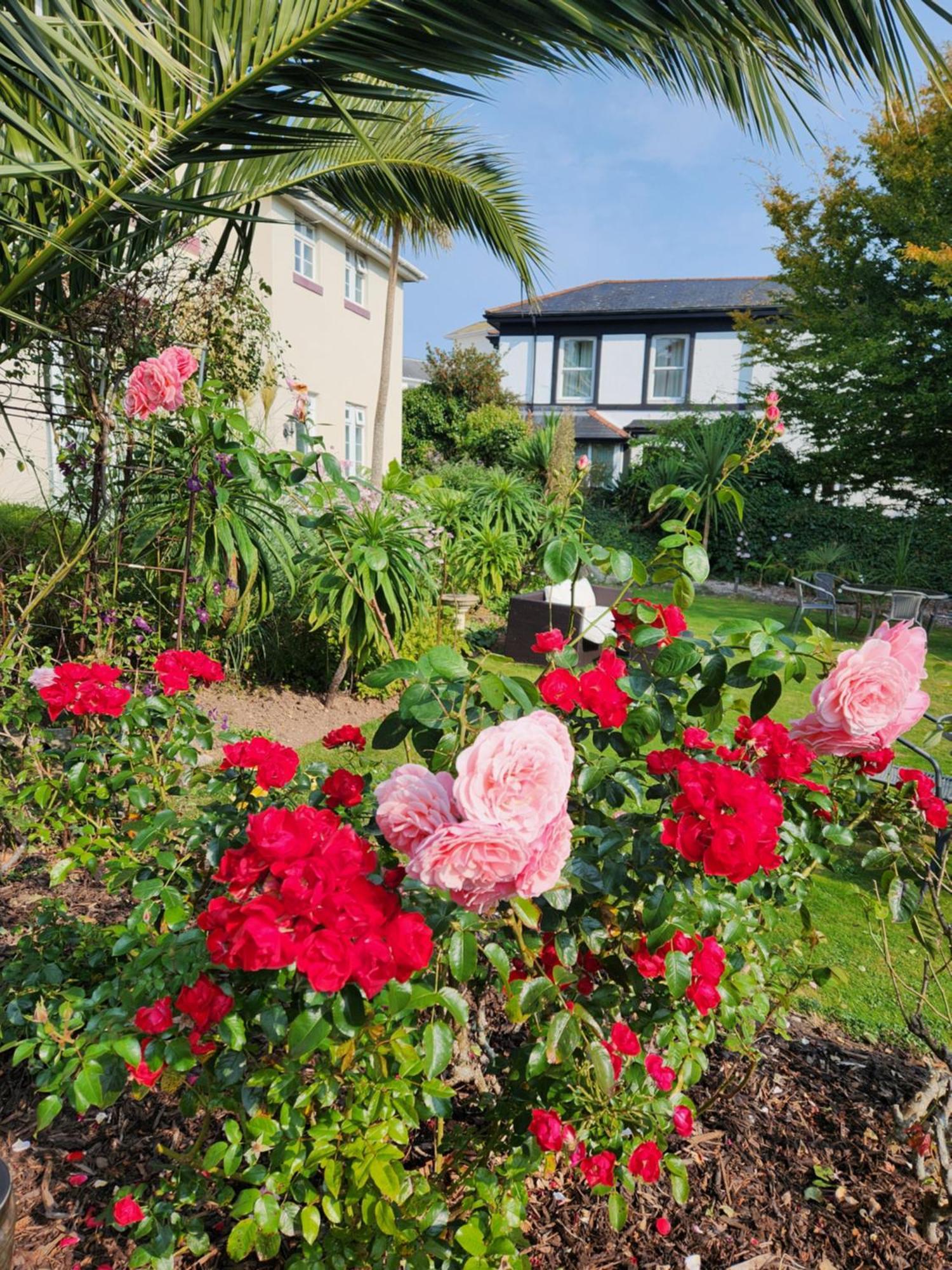 Apartment Rose Court *