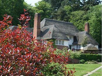 Lanscombe House Torquay