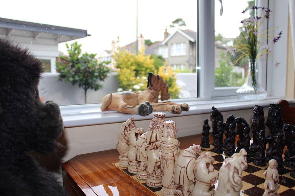 The Albaston Bed & Breakfast