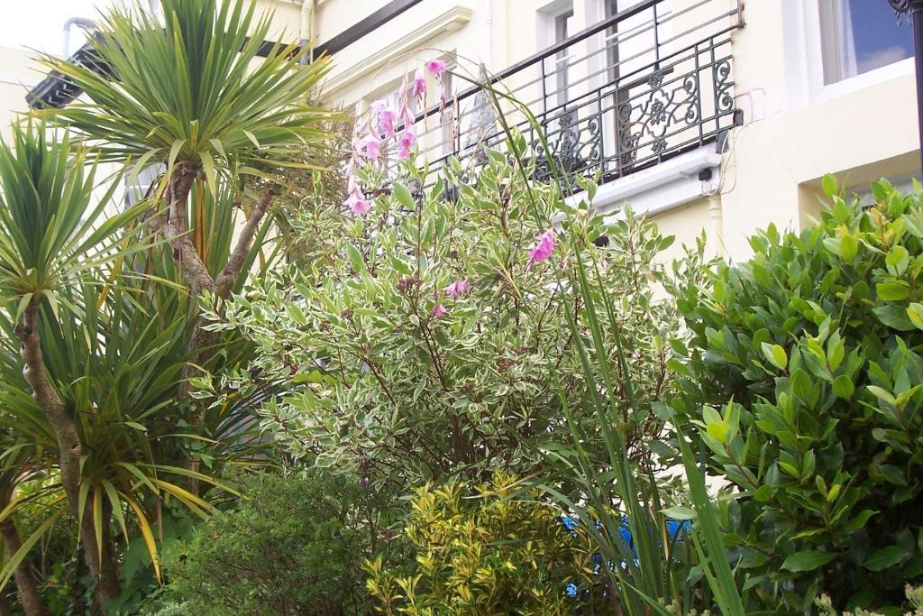Bed & Breakfast Ashwood Grange