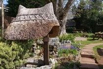 Thatched Tavern Torquay