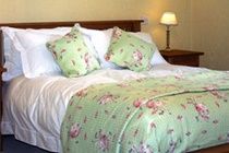 Hotel Thatched Tavern 3*