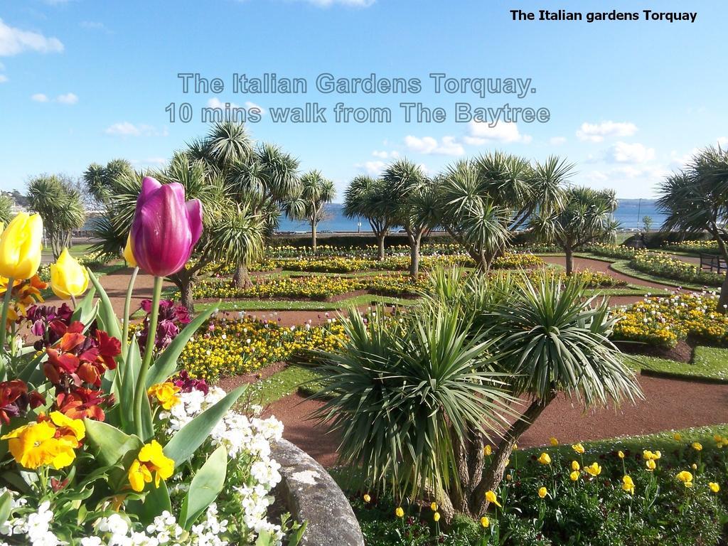 Guest house The Baytree - Exclusively For Adults Torquay