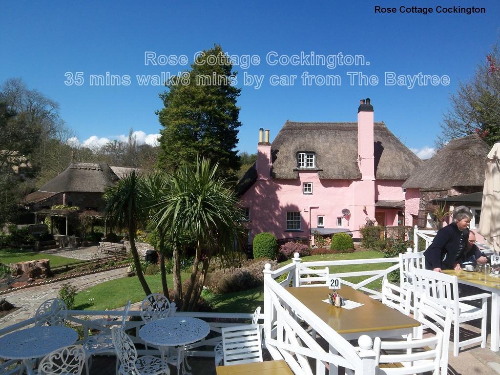 The Baytree - Exclusively For Adults Guest house Torquay