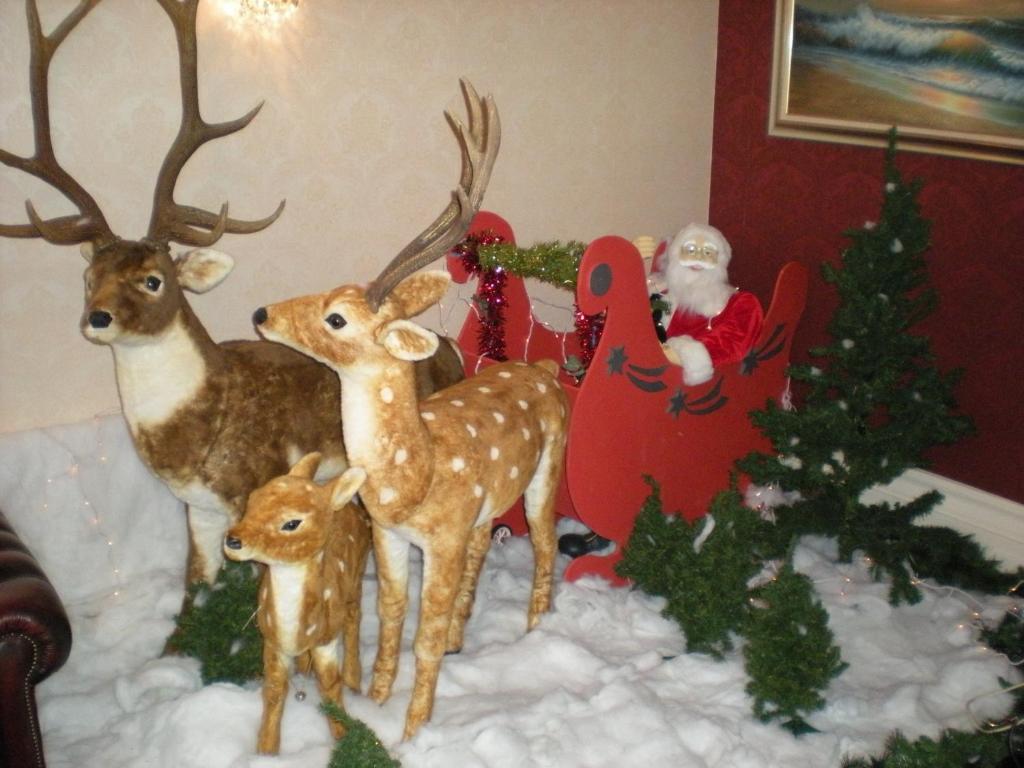 Howden Court Hotel Torquay