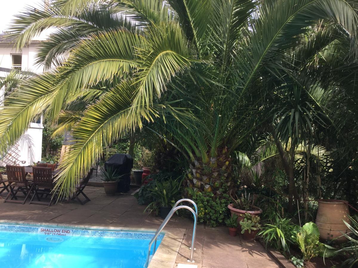 Cary Court - Torquay
