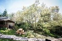 Hotel Thatched Tavern 3*