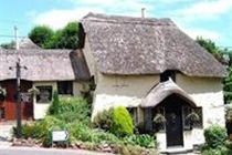 Thatched Tavern Hotel