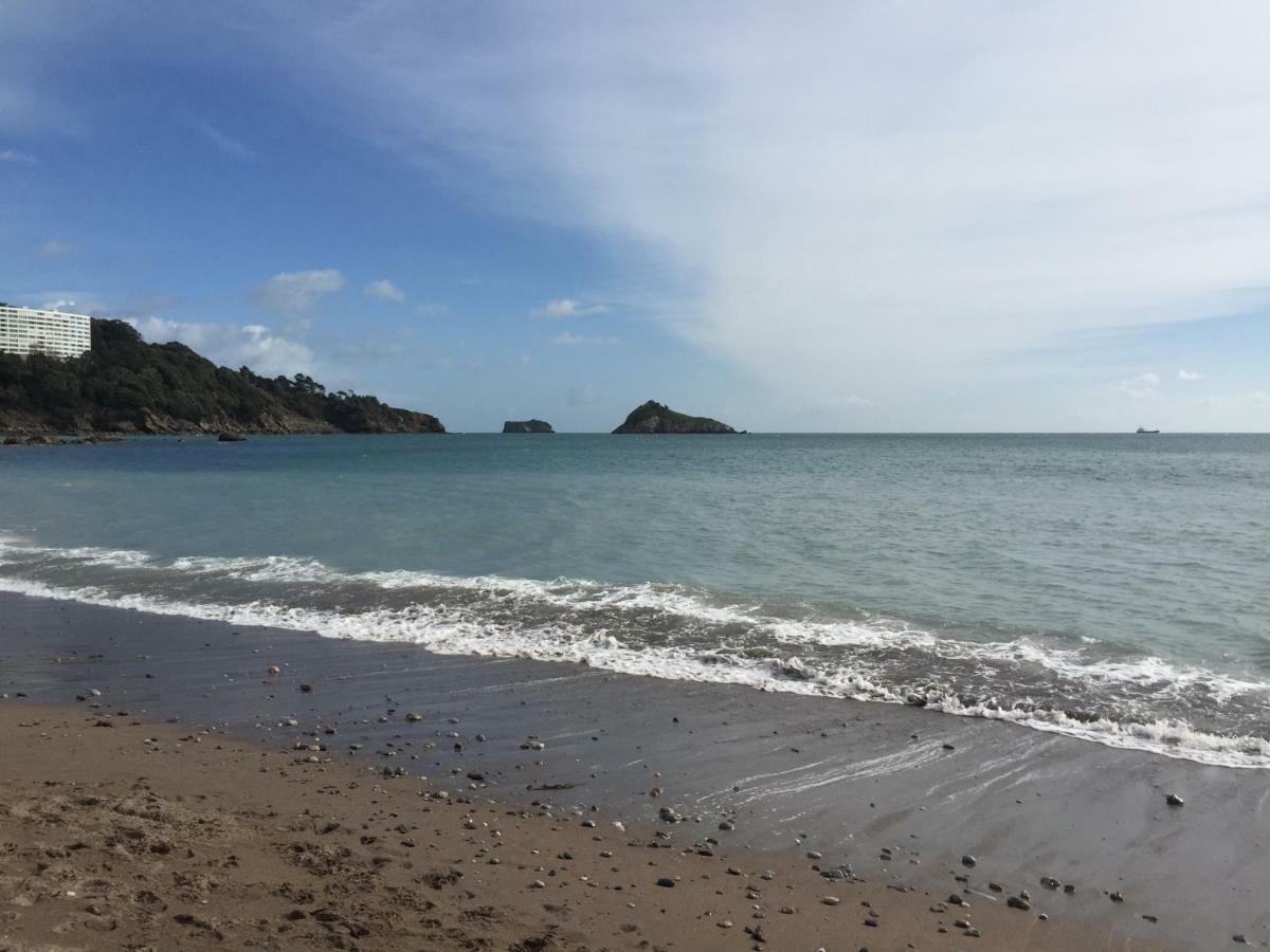 Palm Grove 3* Torquay