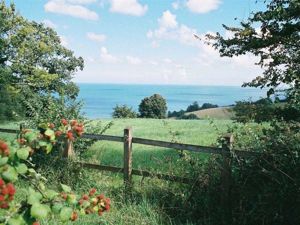 Apartamento Devon Palms Holiday And Cottages Torquay