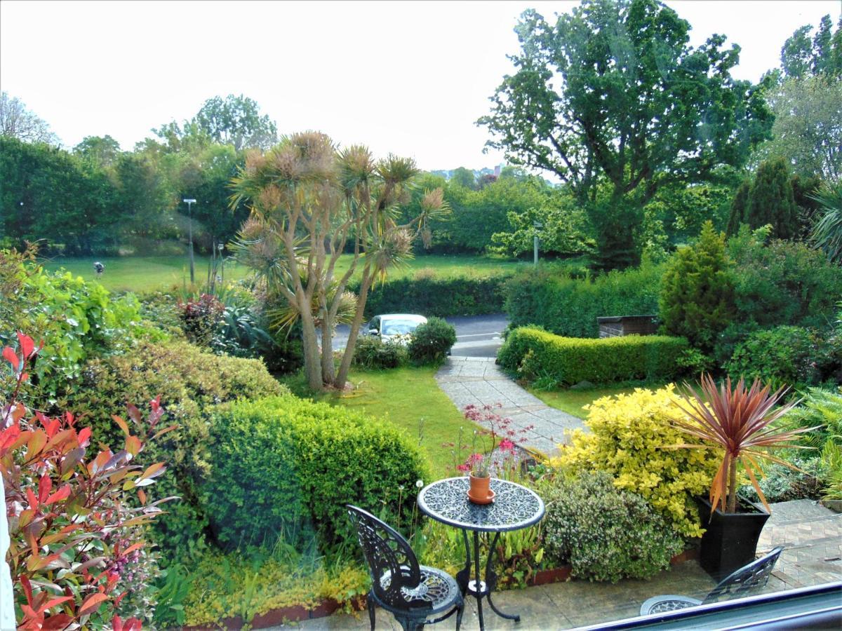 Gainsboro Torquay